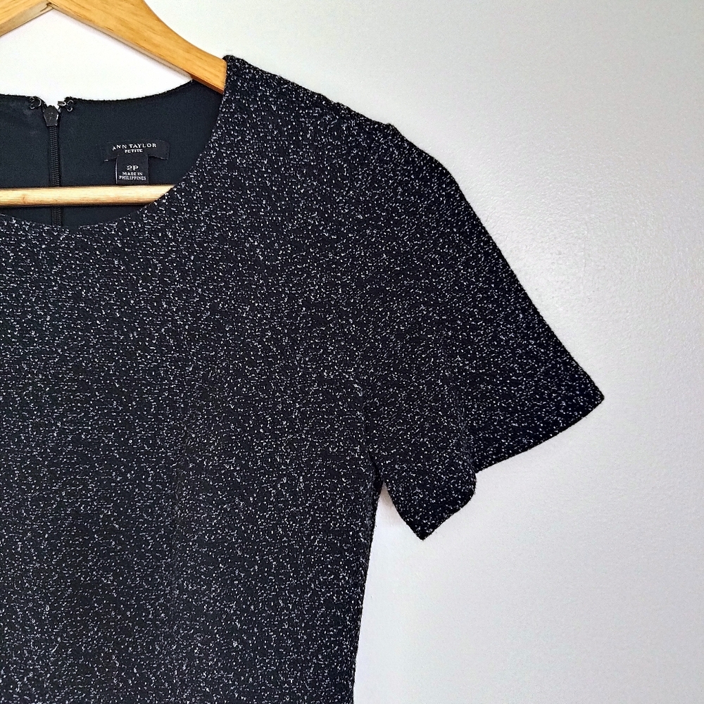 Ann Taylor dress 2P